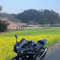  バイク  yzf-r25 250cc