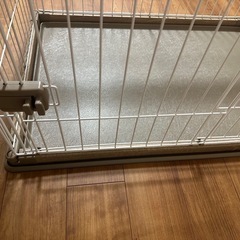 ケージの画像