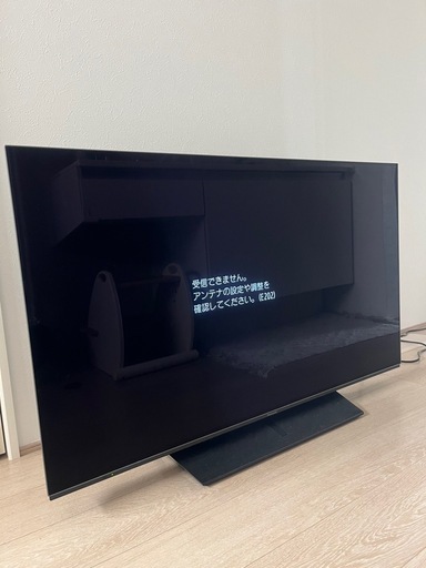 ビエラ48インチ有機EL