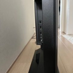 ビエラ48インチ有機ELの画像