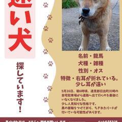 日出町川崎から探してます！