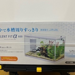 【新品未開封】GEX　サイレントフィットアルファ600の画像