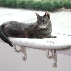 K&H社製　猫用ハンモック　18kg迄　窓　吸盤　キャットタワー　猫用ベッドの画像