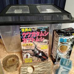 決まりました　クワガタ　カブトムシ飼育セット
