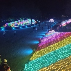 シングルパパだけど