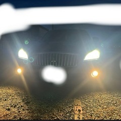 フーガ　y51