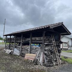 薪などに！　稲を干すハセの木の画像