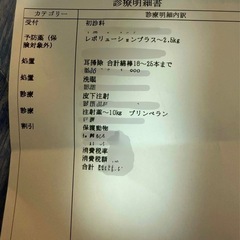 保護子猫　里親募集　病院済 - 猫