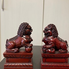 獅子の画像
