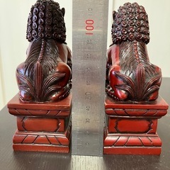 獅子の画像