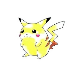 ポケカ、遊戯王ショップの開店