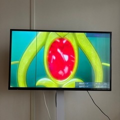Panasonic 42型テレビ TH-42C305【リモコン・...