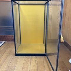 日本人形の画像