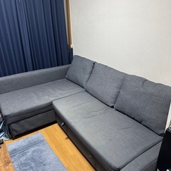 フリーヘーテンシリーズ　IKEA