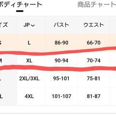 レディース水着セットXLの画像