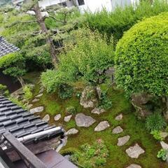 【旅館業許可取得済】島根・津和野町の古民家物件！土地300㎡超・建物延べ153㎡｜価格650万円！ - 鹿足郡