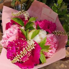 【1～2名限定】静かに話したい方のための “花とことば” のカフェ会🌼の画像