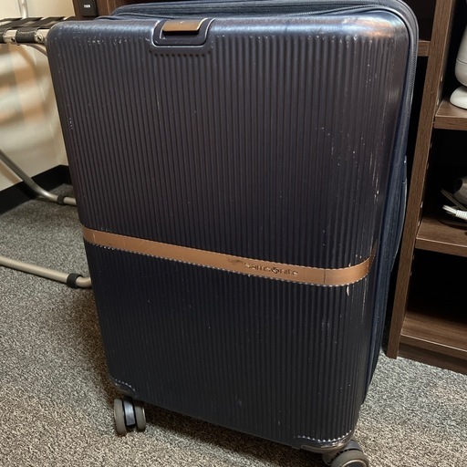 サムソナイト ミンター61