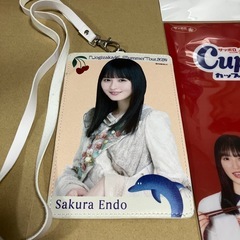 【乃木坂46】遠藤さくら 中古チケットホルダー    の画像