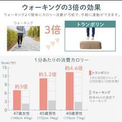 ライシン トランポリン クッション　グレーの画像