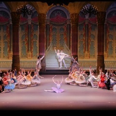 【バレエ教室】板橋区赤塚 アサミバレエ🩰✨ 憧れのバレエ始めてみませんか？✨の画像