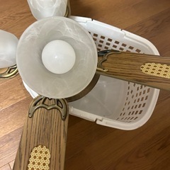 シーリングライトファン付きの画像