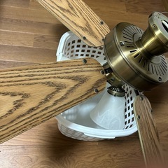 シーリングライトファン付きの画像