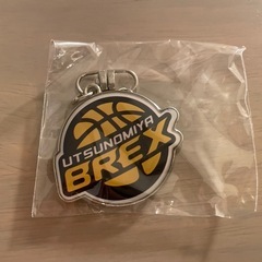 宇都宮ブレックス メタルキーホルダーの画像