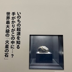 万博に　ぷらぷらと散策しませんか？