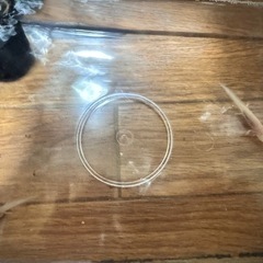 ウーパールーパー