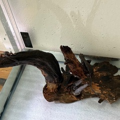 水槽、メダカ飼育ケース 買い取ります