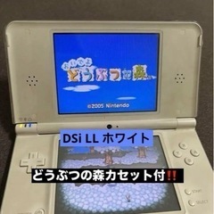 ニンテンドーDS LL ホワイト動作確認済み (pinkpink) てだこ浦西