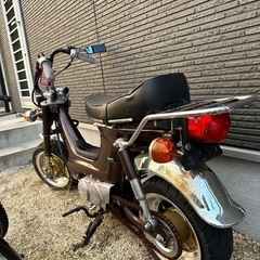 シャリィとライブディオの画像