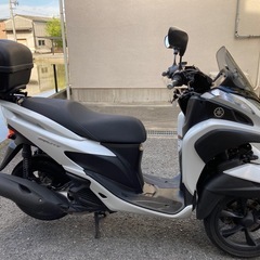 ヤマハ　トリシティ 125  SE82J  美車　オイル交換済み  調子良いよ！ お引き取り可能な方　動画ありの画像