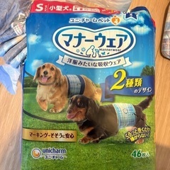 ペット用マナーウェアの画像