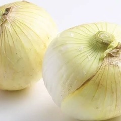 玉ねぎ
