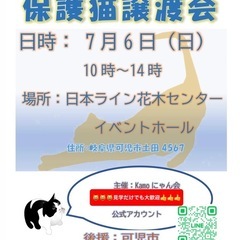 保護猫譲渡会in花木センター 20250706