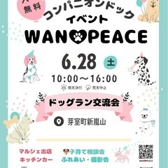 コンパニオンドック交流会