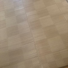 【お取引き先決定】ニトリ　イグサラグ　の画像