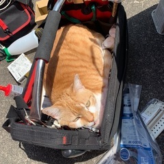 ‼️ハイセンス新品エアコン🉐10畳用82000円基本取付け費用込みの画像