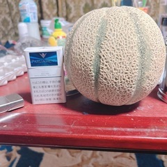 メロンの画像
