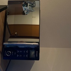 電車レンジ