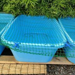 120㍑タライ！金魚やメダカ飼育に☆全部で3つあります。の画像