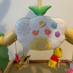 プーメリー ベビージムの画像