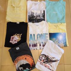 ＴシャツＬサイズセット