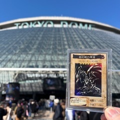 遊戯王カード、その他カード類なら何でも♪♪捨てる前にご連絡くださ...