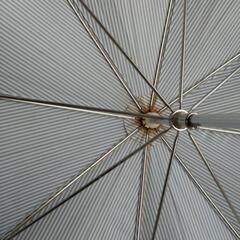 ラルフローレン　雨傘　の画像