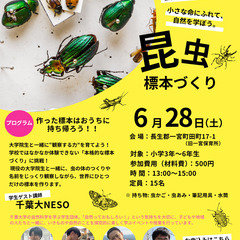 観察から標本作成まで！昆虫の不思議を楽しく学ぶ体験ワークシ…