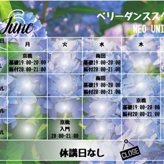 大阪梅田・京橋・東大阪のベリーダンススクールNEO UNIVERSEの画像