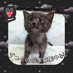 里親さん決定しました！